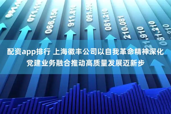 配资app排行 上海徽丰公司以自我革命精神深化党建业务融合推动高质量发展迈新步