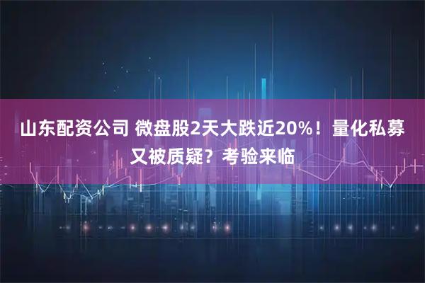 山东配资公司 微盘股2天大跌近20%！量化私募又被质疑？考验来临